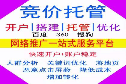 竞价排名的投放策略与效果评估案例